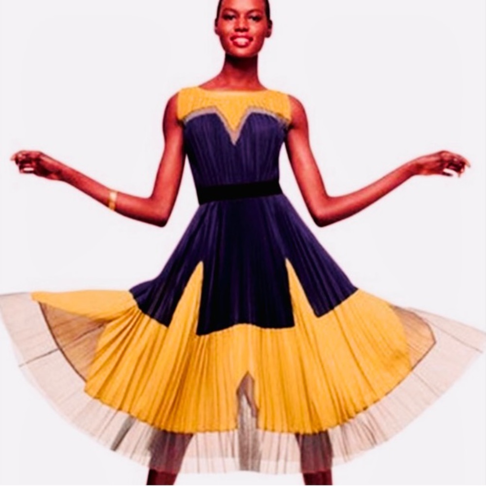 NWT Ciel USA pleated color block dress